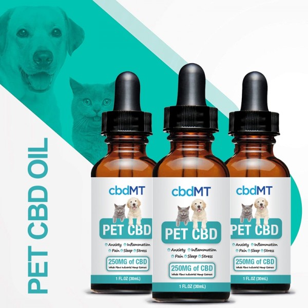 CBD MTCBD-Öl für Haustiere 250 mg CBD 30 ml
